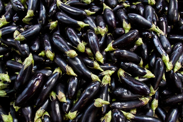 Eggplants raw background — Stock Photo, Image