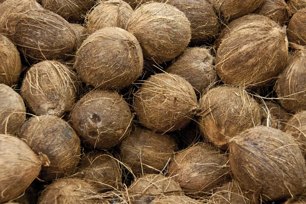 Stock image Coconuts raw background