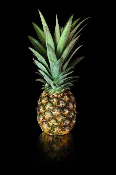 Stock image Pineapple on black