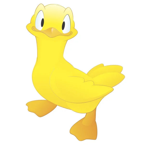 Kreslený kachna — Stockový vektor
