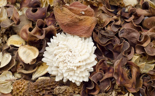 stock image Pile of dry leaves backround