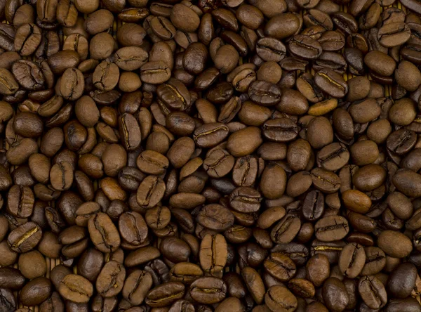 stock image Coffee beans background