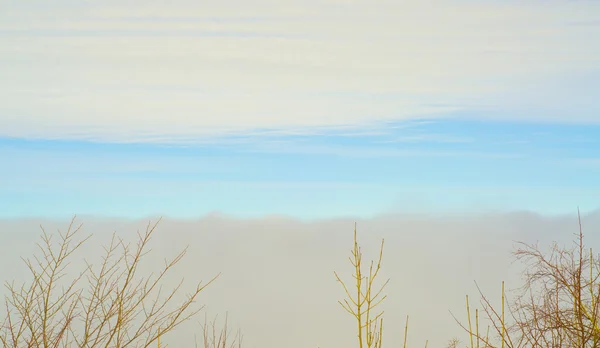 Skyline-Blick auf das vereiste Meer, Himmel und Nebel — Stockfoto