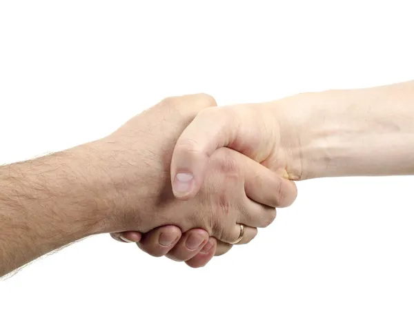 stock image Handshake isolated on white background