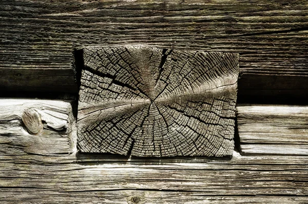 Hout logboeken, houten textuur — Stockfoto