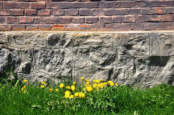 Parede de tijolo e pedra, grama e dentes-de-leão — Fotografia de Stock