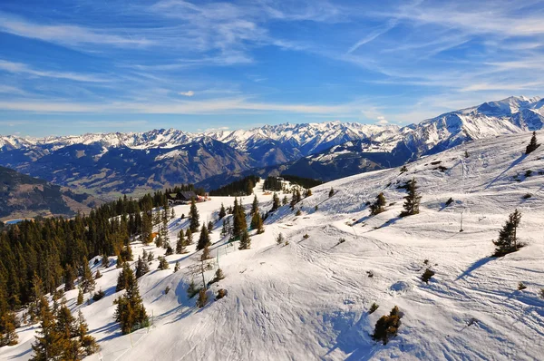 Austrian Alps ski slope with trees — Stock Photo, Image