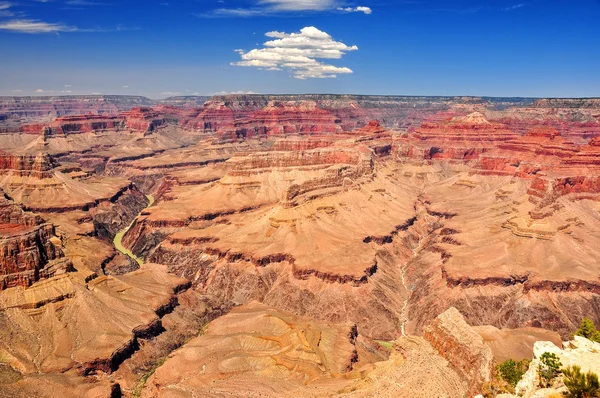 Grand canyon clear day vivid landscape — Stock Photo, Image