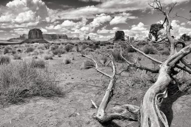 Monument valley black and white landscape view clipart