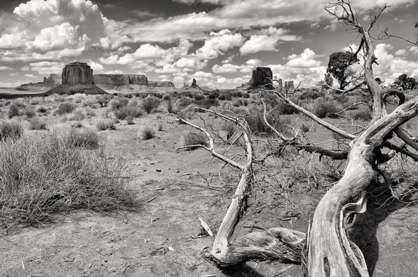 stock image Monument valley black and white landscape view