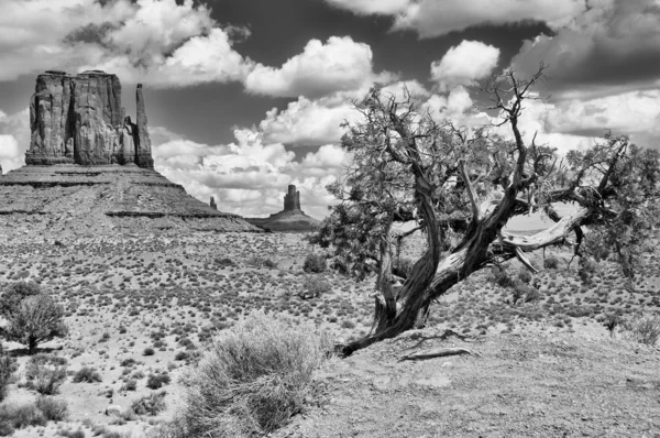 Monument Valley vista sul paesaggio — Foto Stock