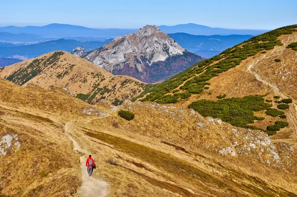 Slowaakse bergen wandelen pad in mala fatra — Stockfoto