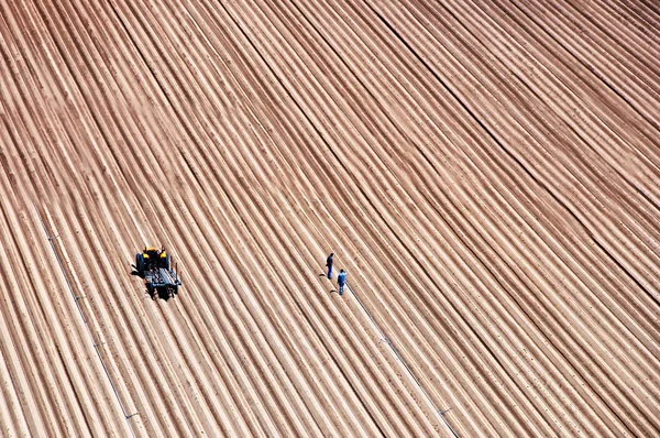 Agriculture field lines and two farmers with tractor — Stock Photo, Image