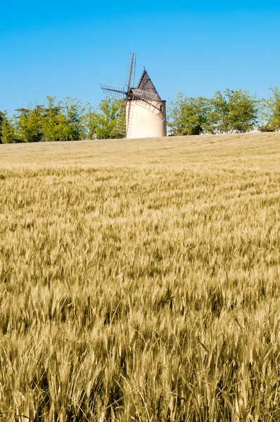 Gebied van gerst en tarwe en windmolen — Stockfoto