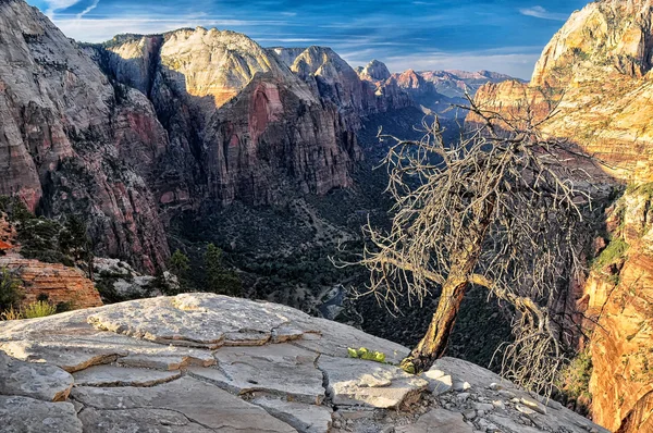 Zion national park - landscape view from Angels landing — Stock Photo, Image