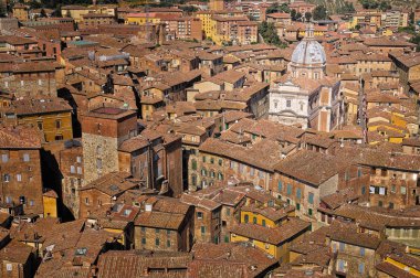 Siena çatı üstleri ve katedral görüntülemek, Toskana, İtalya