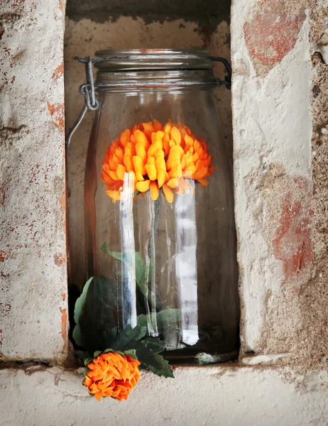 Çiçekli güzel cam — Stok fotoğraf