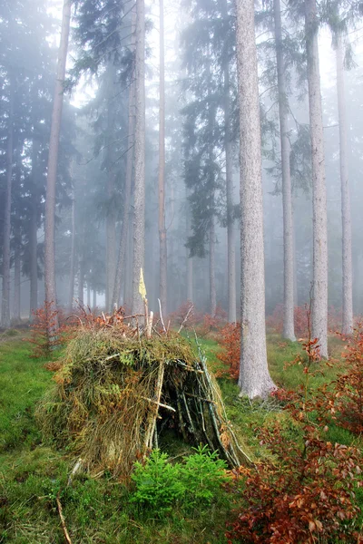 A cabana — Fotografia de Stock
