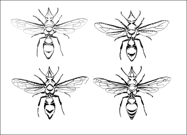 矢量黄蜂 — 图库矢量图片