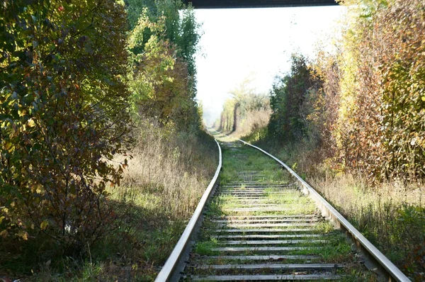 Landscape, railroad, пейзаж — Zdjęcie stockowe
