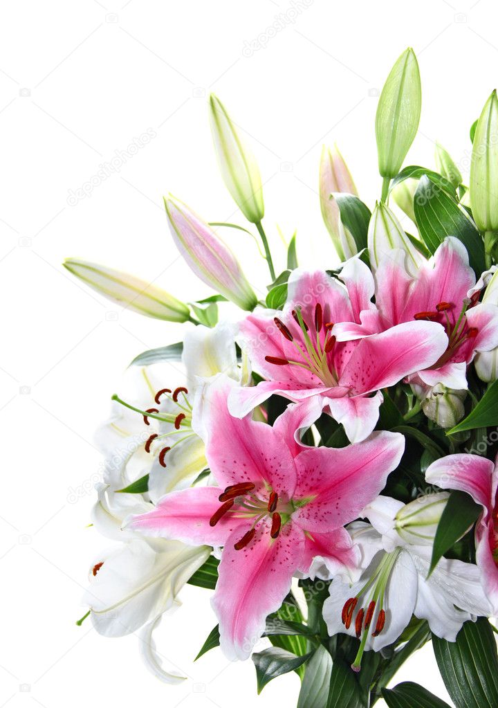 Pink and white lily bouquet closeup