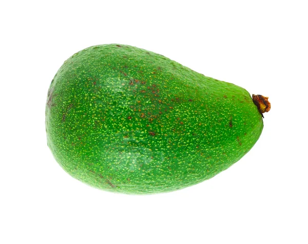 Один авокадо — стоковое фото