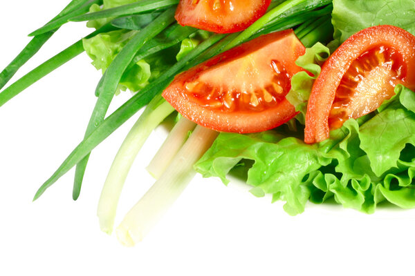 Salad with onion and tomatoes