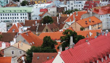 eski tallinn çatılar Panoraması