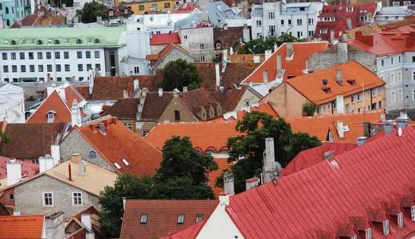 Panorama der alten Tallinner Dächer — Stockfoto
