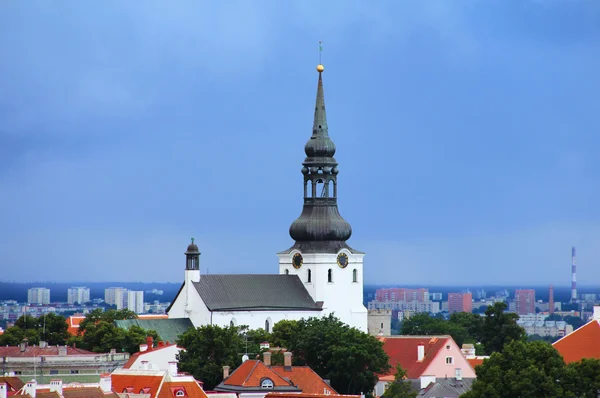 Панорама старого Таллінна — стокове фото