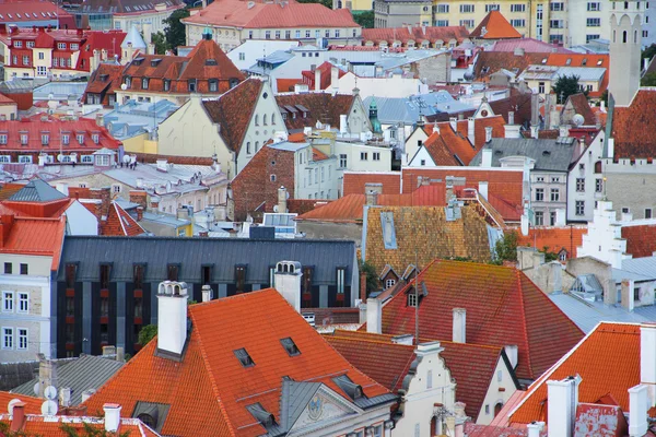 Panorama der alten Tallinner Dächer — Stockfoto