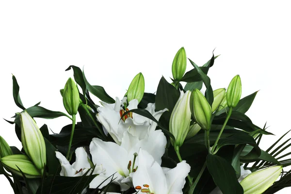 ユリの花束 — ストック写真