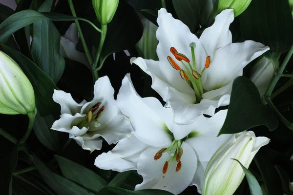 Lily bouquet — Stock Photo, Image