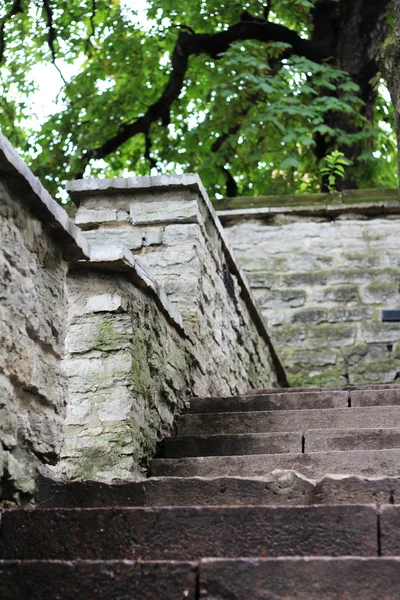 Staré kamenné schody — Stock fotografie