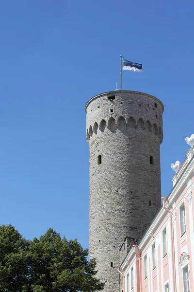 Torre Pikk Hermann em Tallinn — Fotografia de Stock