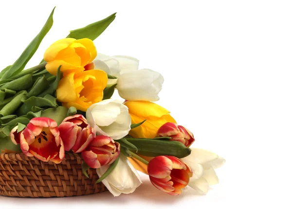 Тюльпаны в корзине — стоковое фото
