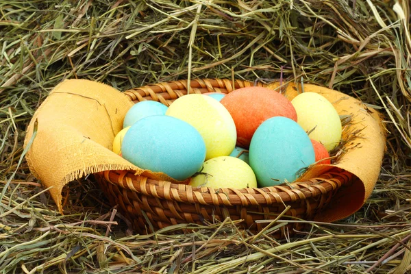 Корзина пасхальных яиц на сене — стоковое фото