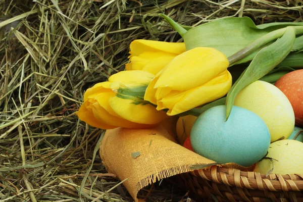 Basket of easter eggs and tulips on hay — Stock Photo, Image