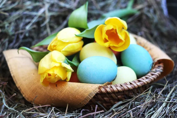 Basket of easter eggs and tulips on hay — Stock Photo, Image