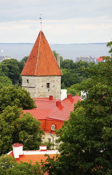 Torens van tallinn — Stockfoto