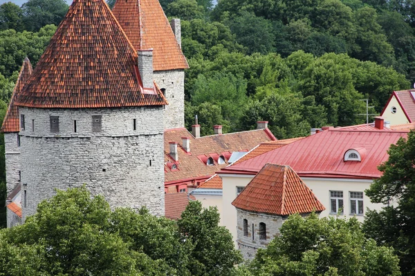 Türme von Tallinn — Stockfoto