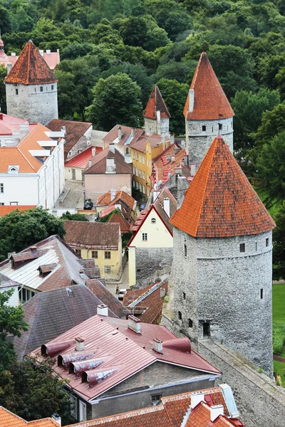 Tallinn kuleleri — Stok fotoğraf