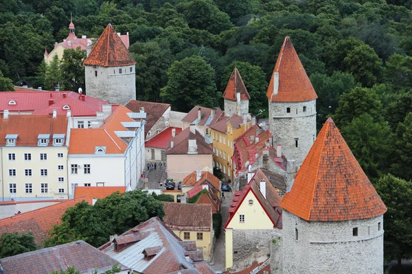 Tallinn kuleleri — Stok fotoğraf
