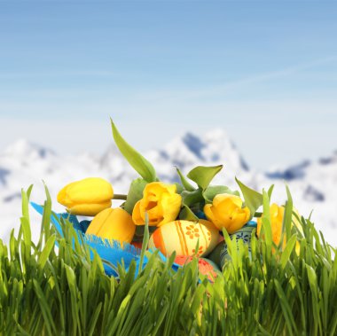 Easter basket with eggs and tulips in spring mountains clipart