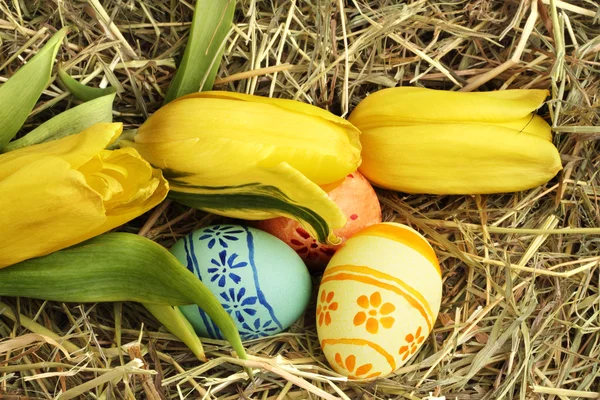 Ovos de Páscoa e tulipas em feno — Fotografia de Stock