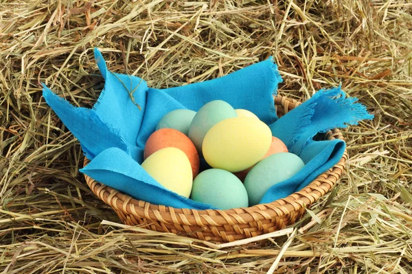 Mandje van Pasen eieren op hooi — Stok fotoğraf