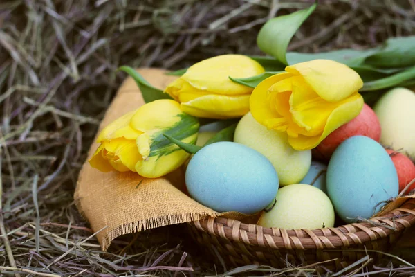 Корзина пасхальных яиц и тюльпанов на сене — стоковое фото
