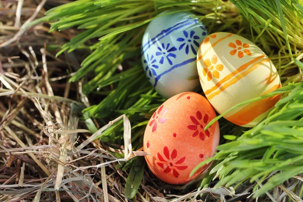Easter eggs on green grass and hay — Stock Photo, Image