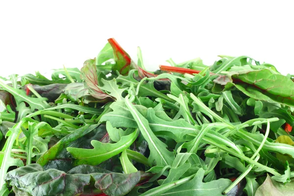 Rucola and Chard salad — Stock Photo, Image