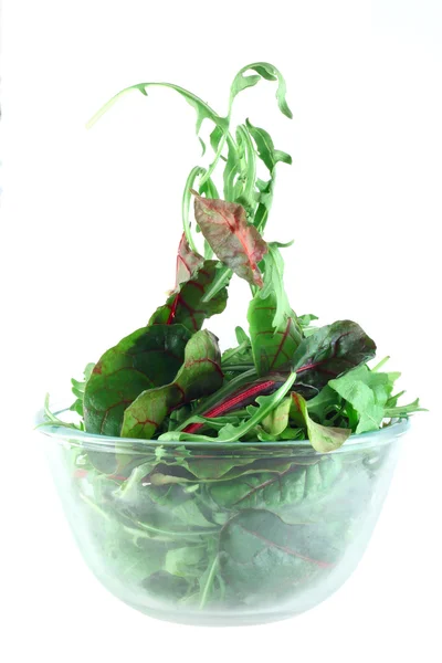 Rucola et Chard concept de légèreté de la salade — Photo